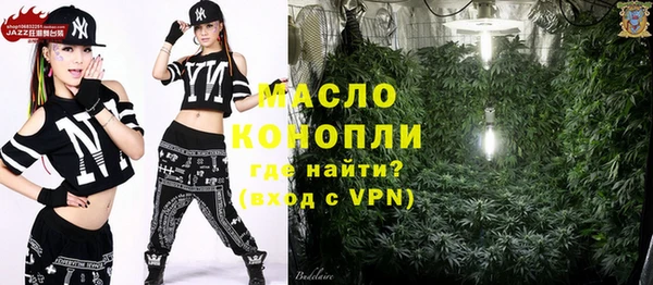 тгк Бородино