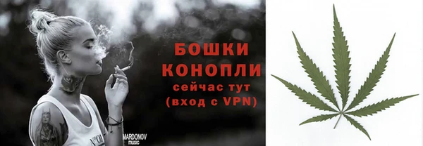 тгк Бородино