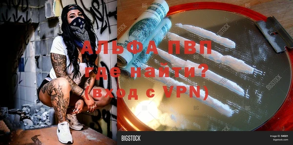 тгк Бородино