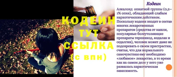 метадон Богданович