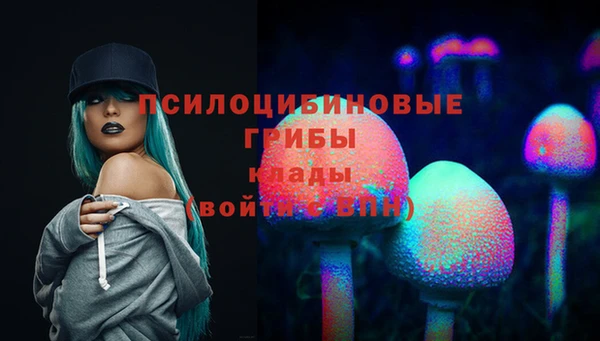 тгк Бородино