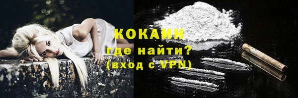 тгк Бородино