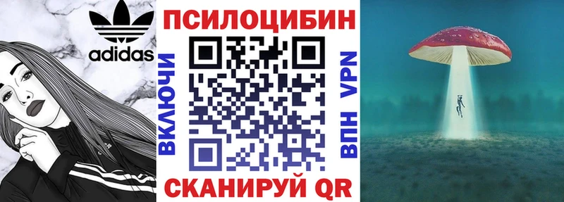 ОМГ ОМГ вход  Кировск  Псилоцибиновые грибы Cubensis  где найти наркотики 